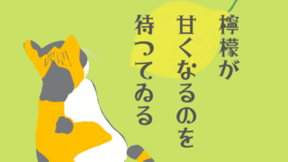 のんちゃのnote